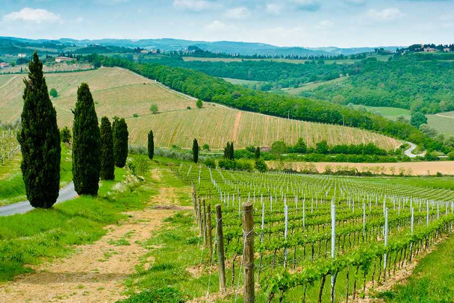 Lookals Professional Wine Tour in Piedmont day-trip from Milan